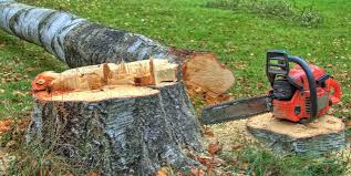 How Our Tree Care Process Works  in  Nowata, OK