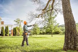 Best Hazardous Tree Removal  in Nowata, OK