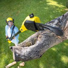 Best Landscape Design and Installation  in Nowata, OK
