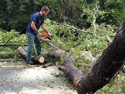 Nowata, OK Tree Services Company