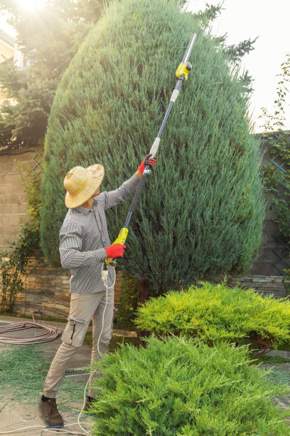 Best Utility Line Clearance  in Nowata, OK
